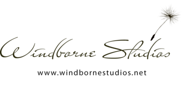 WBS_Logo_f13a30ef-4761-467b-8332-4e7b7d4676d5_375x